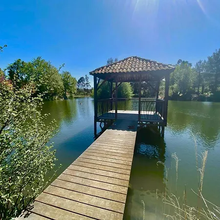 Διαμέρισμα Les Restanques Vue Pressoir 3131 *