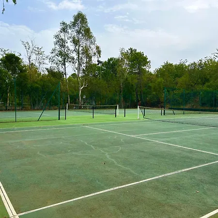 Les Restanques Vue Pressoir 3131 *