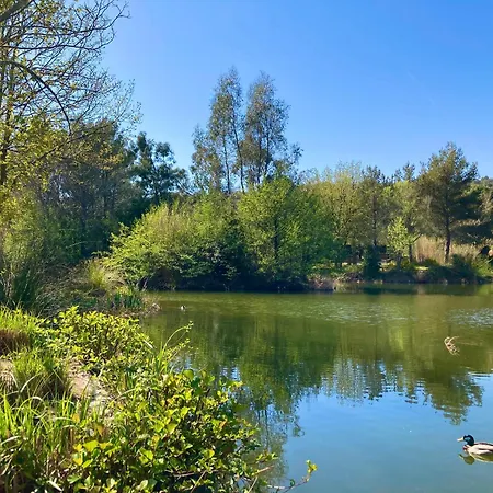 Les Restanques Vue Pressoir 3131 Διαμέρισμα *