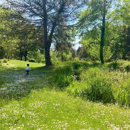 Les Restanques Vue Pressoir 3131 Grimaud