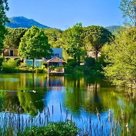 Les Restanques Vue Pressoir 3131 * Grimaud