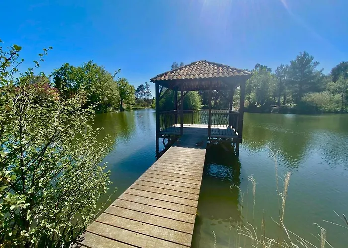 Apartment Les Restanques Vue Pressoir 3131 *