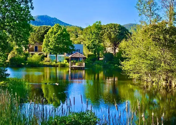 Les Restanques Vue Pressoir 3131 * Grimaud