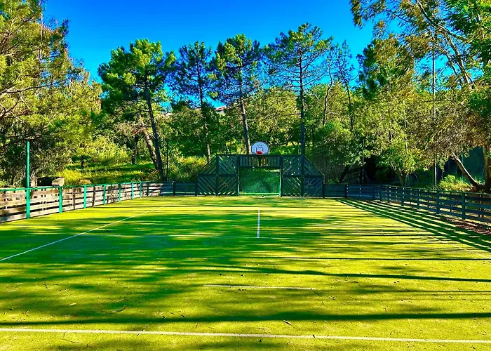 Les Restanques Vue Pressoir 3131 * Grimaud